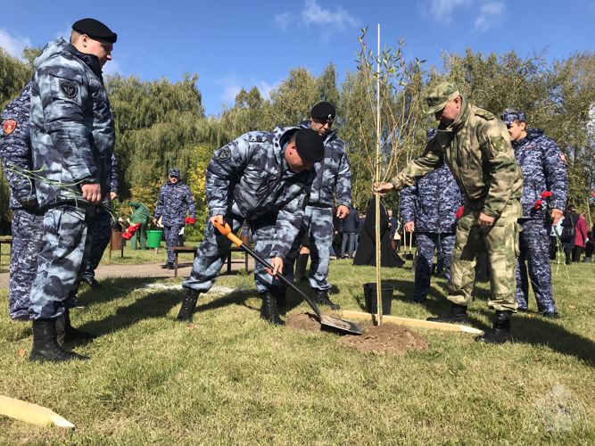 Военнослужащие и сотрудники Управления Росгвардии по Смоленской области приняли участие во всероссийской акции «Лес Победы»