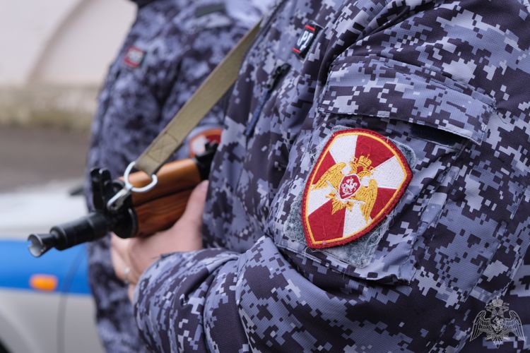В Смоленской области сотрудники Росгвардии задержали нетрезвого водителя