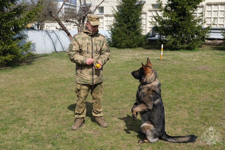 12 июля - День фотографа 
