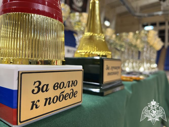 В Смоленске прошёл турнир памяти Героя России Владимира Максакова