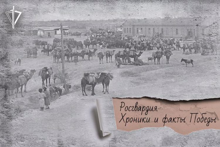 В мае 1933 года в Каракумских песках воины-чекисты разгромили самую крупную из последних Басмаческих банд  