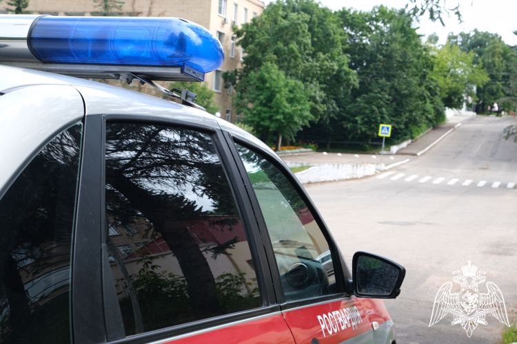    В Смоленске сотрудники Росгвардии  задержали нескольких правонарушителей