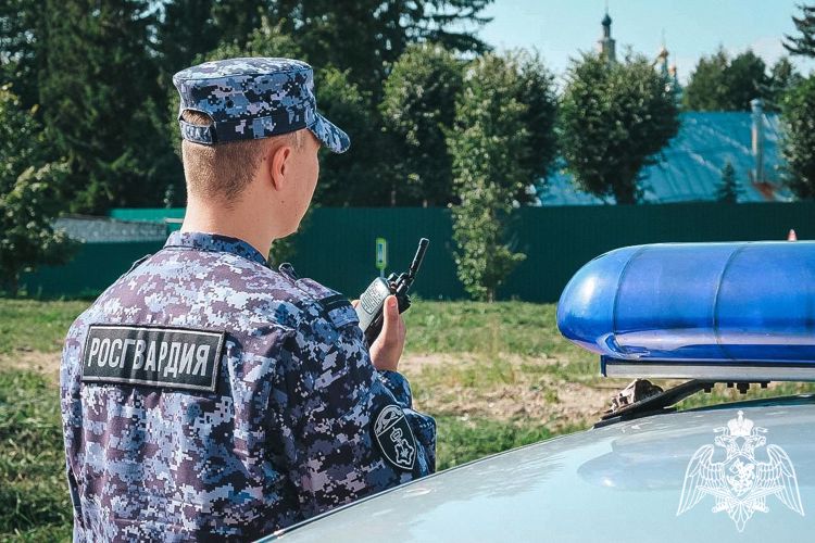 В Смоленске сотрудники Росгвардии пресекли дебош