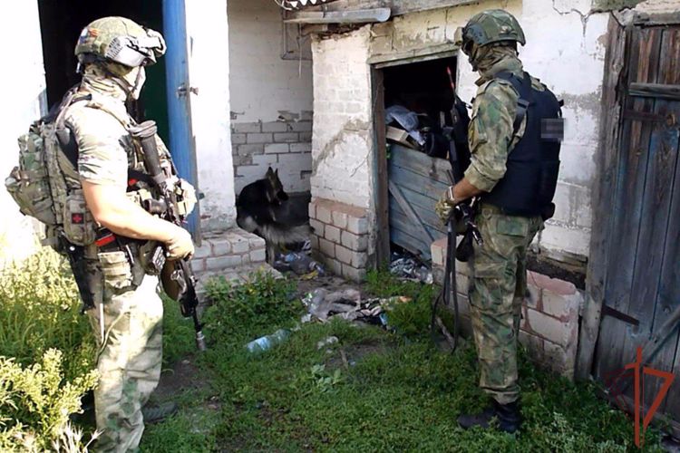 Оружие и боеприпасы изъяли из тайников и схронов росгвардейцы в ЛНР