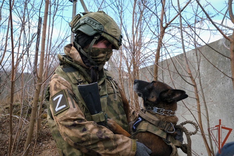 Девушка-кинолог обнаружила несколько тайников с боеприпасами в зоне СВО