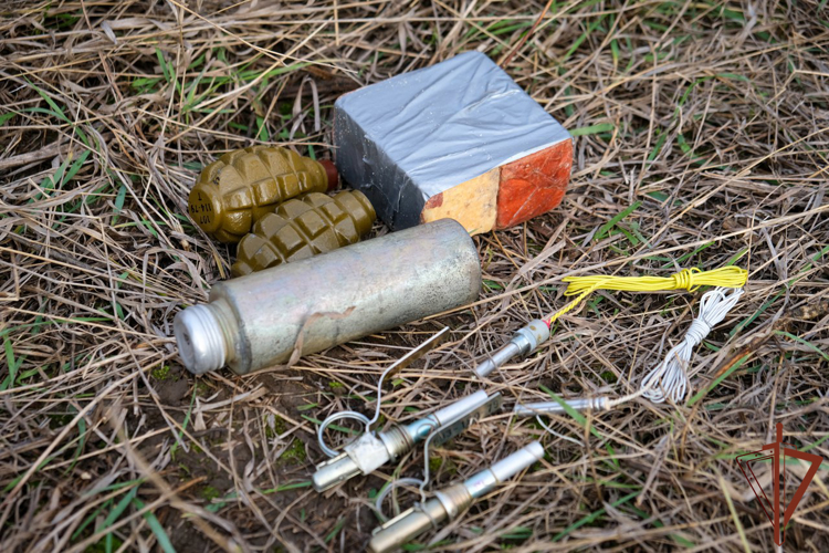 Девушка-кинолог обнаружила несколько тайников с боеприпасами в зоне СВО