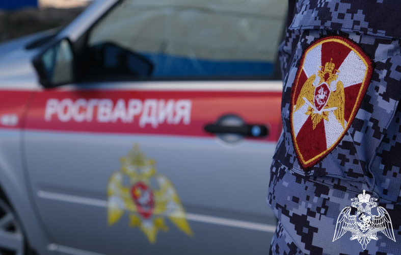 Результаты работы подразделений вневедомственной охраны и лицензионно-разрешительной работы Росгвардии за прошедшую неделю в Смоленской области