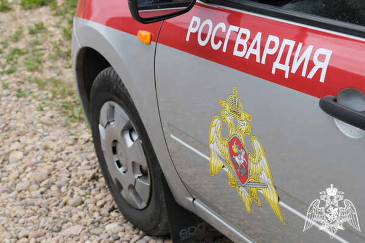 В Смоленской области росгвардейцы задержали гражданку,  находящуюся в Федеральном розыске