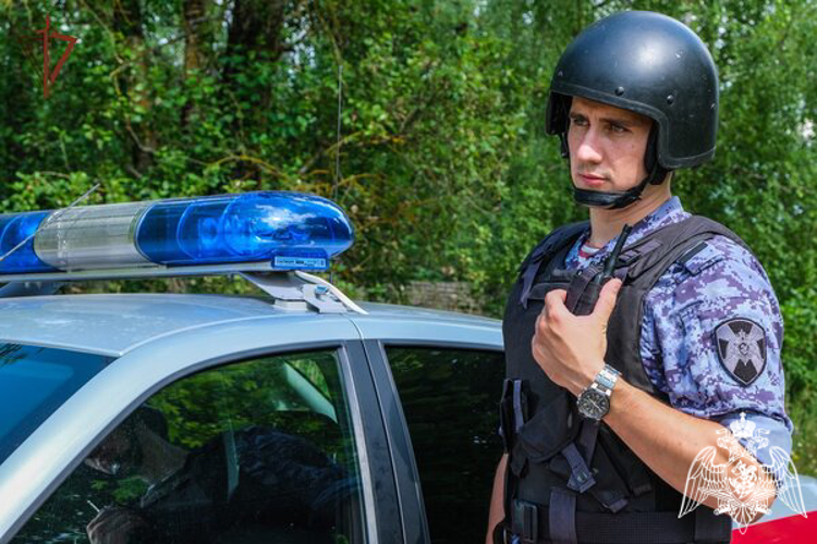 В Смоленске росгвардейцы задержали подозреваемую в краже