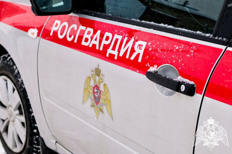 Свыше 70 правонарушений пресекли сотрудники Росгварди в Смоленской области