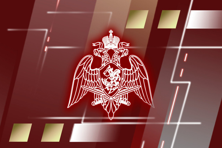 Приняты новые законы, регулирующие частную детективную и охранную деятельность