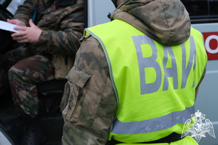 В Смоленской области инспектор ВАИ Росгвардии провел профилактические мероприятия