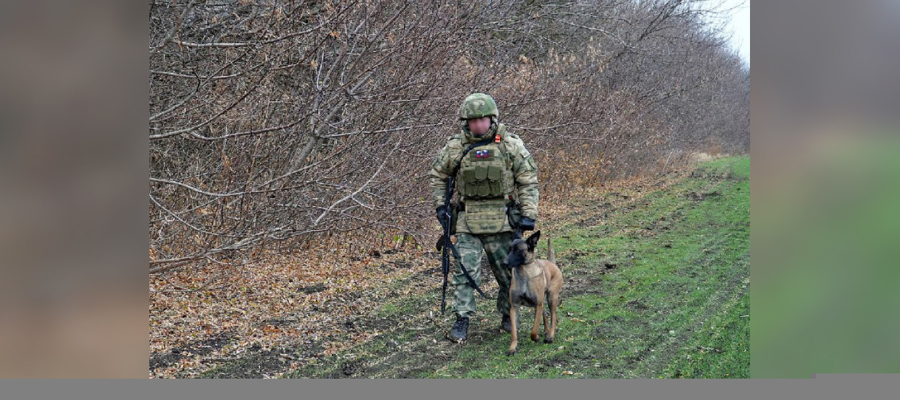 Военнослужащие Росгвардии и сотрудники ФСБ России пресекли незаконный оборот боеприпасов в ДНР