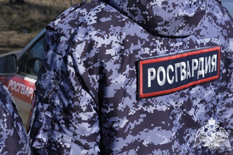 В Смоленской области росгвардейцы задержали подозреваемых в краже