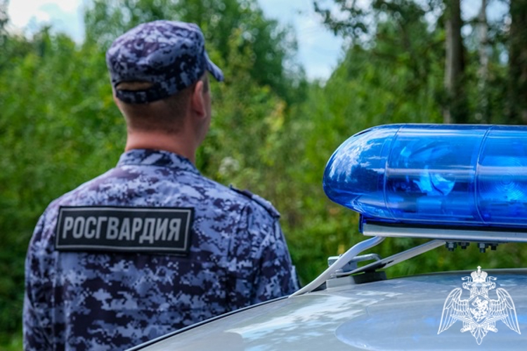 Росгвардейцы за неделю пресекли более 80 административных правонарушений в Смоленской области