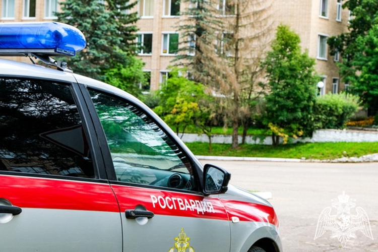 В Смоленске росгвардейцы задержали граждан, подозреваемых в краже