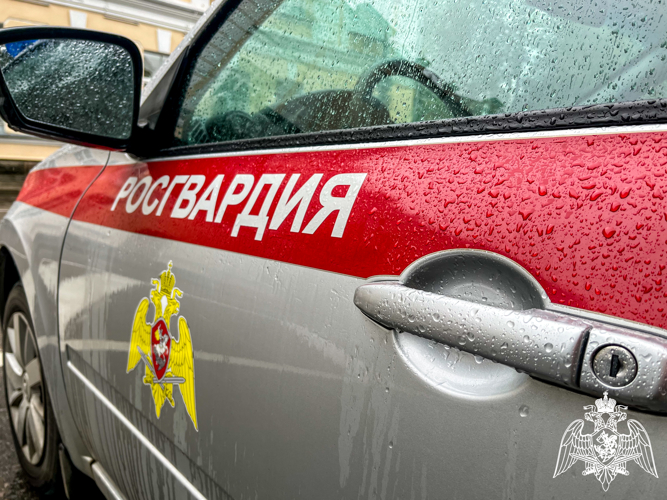 В Смоленске росгвардейцы задержали мужчину за хищение из гипермаркета 
