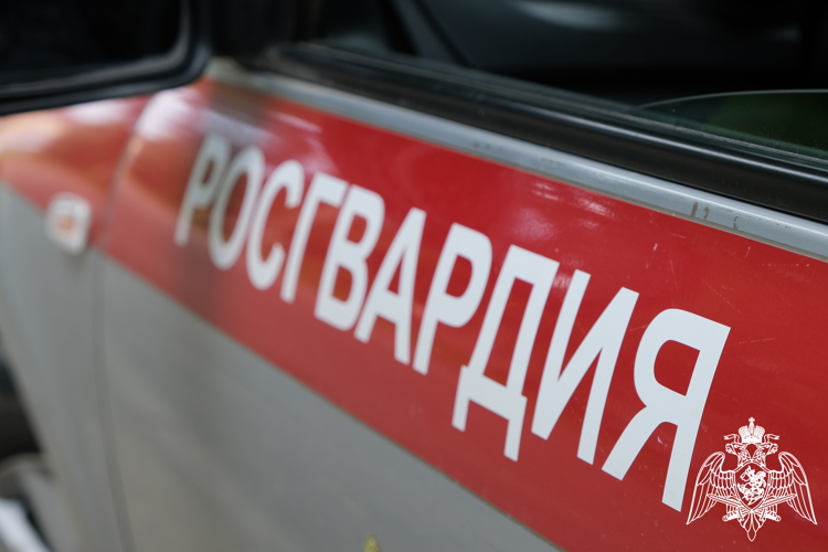 В Управлении Росгвардии по Смоленской области пройдет прямая линия