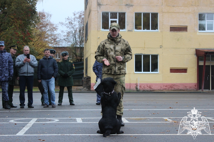 В Смоленске росгвардейцы приняли участие в акции «День призывника»