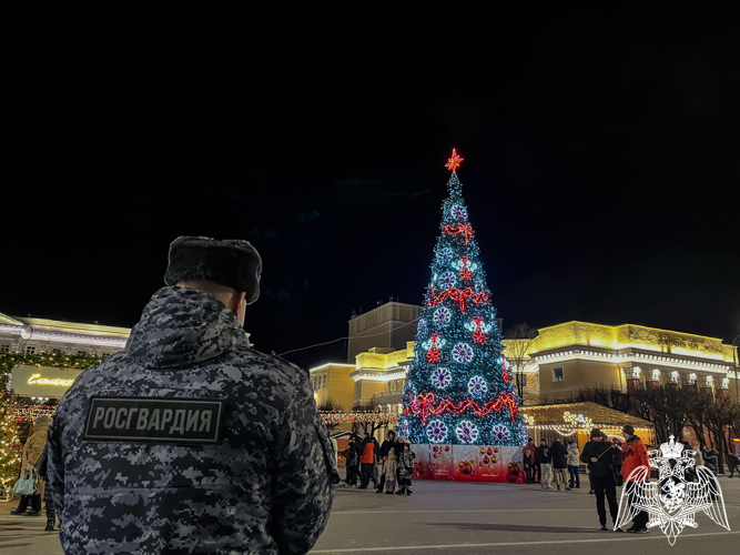 Росгвардия обеспечила безопасность жителей Смоленской области в новогоднюю ночь