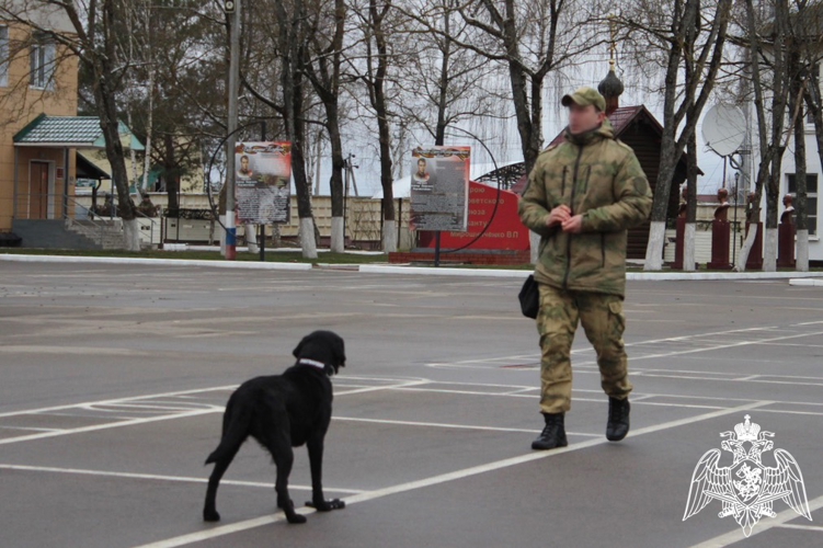 В Смоленской области росгвардейцы приняли участие во всероссийской акции «День призывника» 