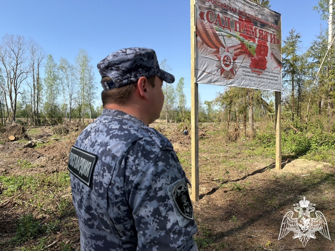 Смоленские Росгвардейцы продолжают участвовать в акции «Сад памяти» (видео)