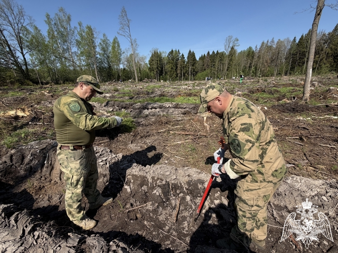 Смоленские Росгвардейцы продолжают участвовать в акции «Сад памяти» (видео)